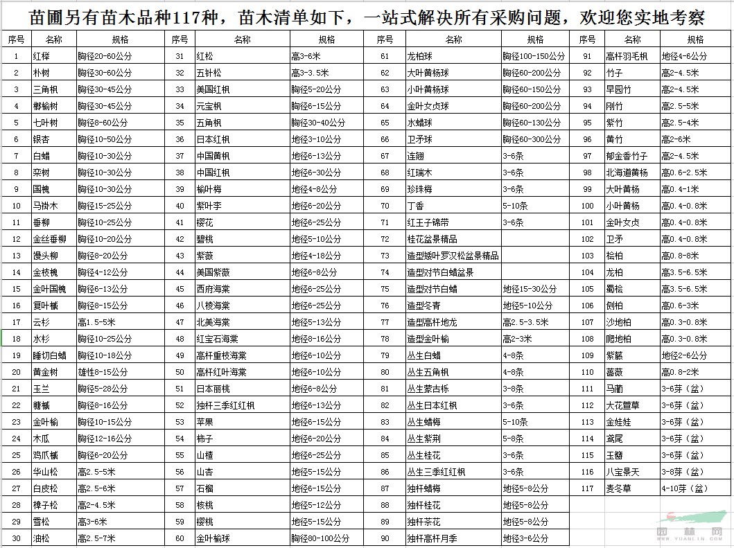 胸徑10-25公分垂柳北京大苗圃基地購樹木市排價(jià)