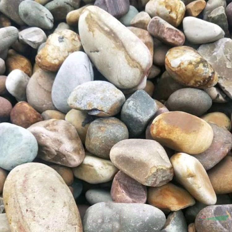 桐廬和諧天然景觀石 園林鵝卵石自然石