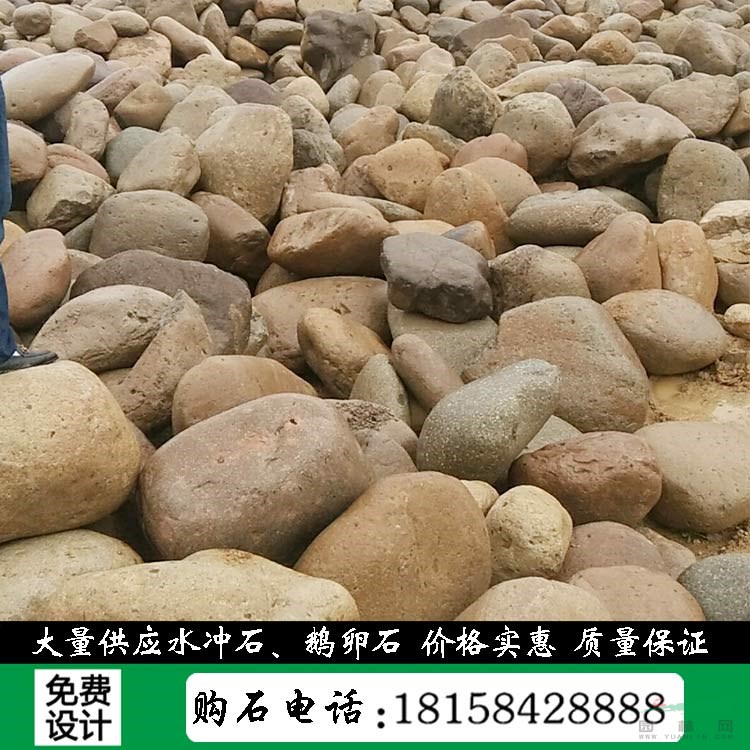 桐廬和諧景觀石銷售多規(guī)格鵝卵石水沖石