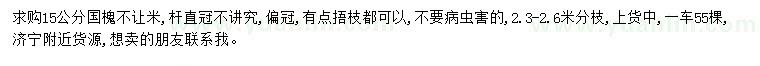 求購15公分國槐