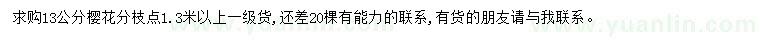 求購13公分櫻花