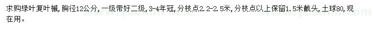 求購(gòu)胸徑12公分綠葉復(fù)葉槭