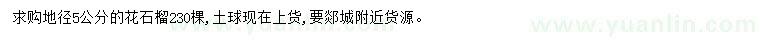 求購地徑5公分花石榴