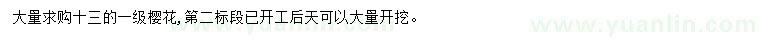 求購13公分櫻花