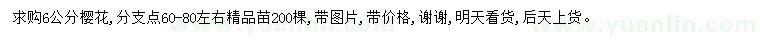 求購6公分櫻花