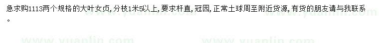 求購11-13公分大葉女貞