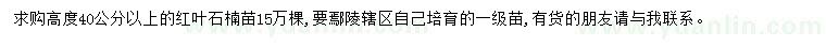求購高40公分以上紅葉石楠