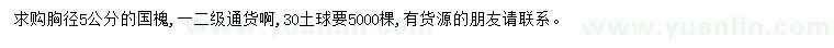 求購胸徑5公分國槐