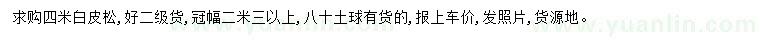 求購4米白皮松