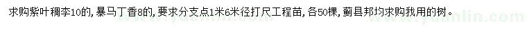 求購10公分紫葉稠李、8公分暴馬丁香