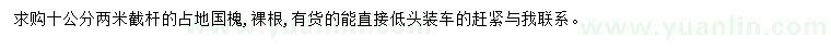 求購10公分國槐