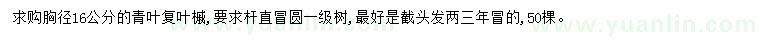 求購胸徑16公分青葉復葉槭