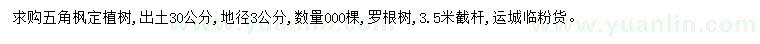 求購30量3公分五角楓