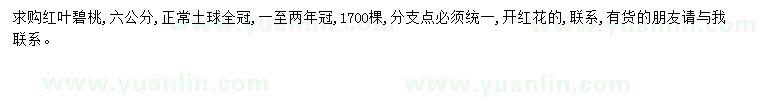 求購6公分紅葉碧桃