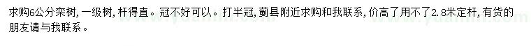 求購(gòu)6公分欒樹(shù)