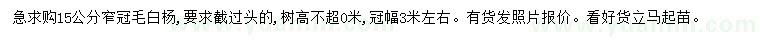 求購15公分毛白楊