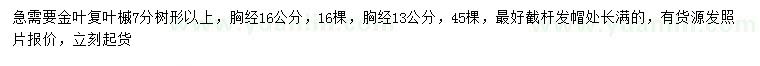 求購胸徑13、16公分金葉復(fù)葉槭