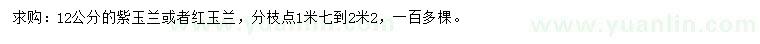 求購12公分紫玉蘭、紅玉蘭