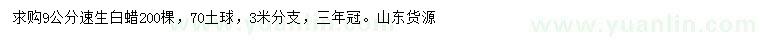求購9公分速生白蠟