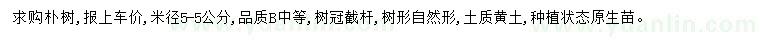 求購米徑5公分樸樹