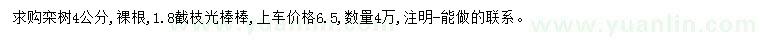 求購(gòu)4公分欒樹(shù)