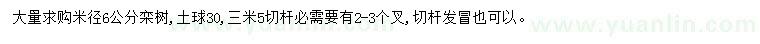 求購(gòu)米徑6公分欒樹