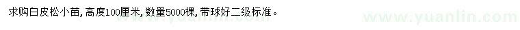 求購高100公分白皮松