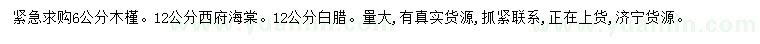 求購木槿、西府海棠、白蠟
