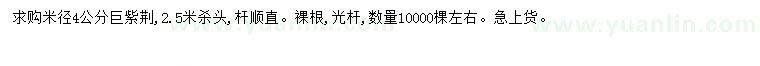 求購米徑4公分巨紫荊