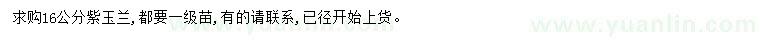 求購(gòu)16公分紫玉蘭