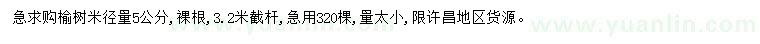 求購米徑5公分榆樹