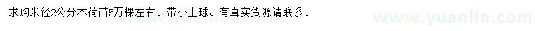 求購米徑2公分木荷