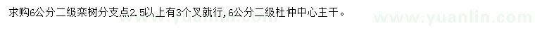 求購6公分欒樹、杜仲