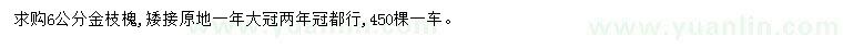 求購6公分金枝槐
