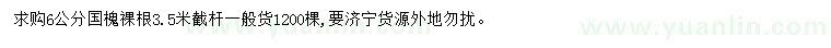 求購6公分國槐