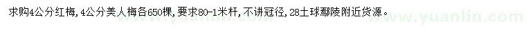 求購4公分紅梅、美人梅