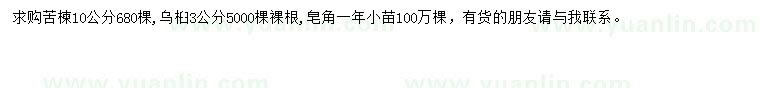 求購苦楝、烏桕、皂角