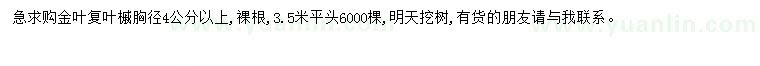 求購胸徑4公分以上金葉復(fù)葉槭