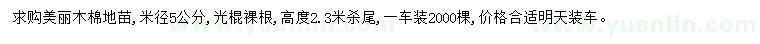 求購(gòu)米徑5公分美麗木棉