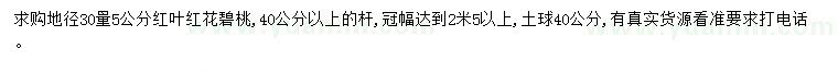 求購30量5公分紅葉紅花碧桃