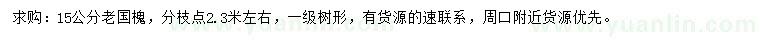 求購15公分老國槐