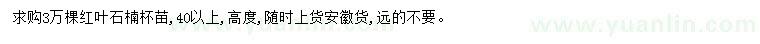 求購(gòu)高40公分以上紅葉石楠