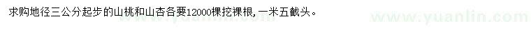 求購地徑3公分起步山桃、山杏