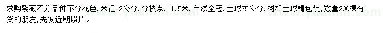 求購米徑12公分紫薇