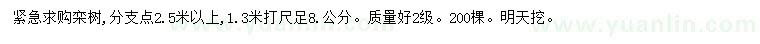 求購1.3米打尺8.5公分欒樹
