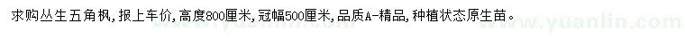 求購高800公分叢生五角楓