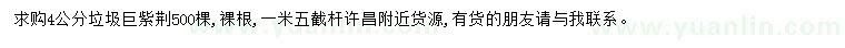 求購4公分巨紫荊