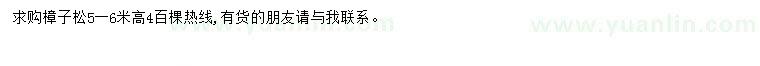求購高5-6米樟子松