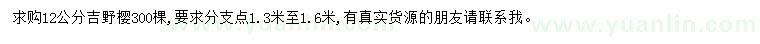 求購12公分吉野櫻
