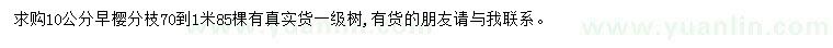 求購10公分早櫻